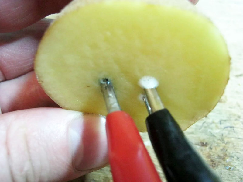 Проверка полярности с помощью сырой картофелины